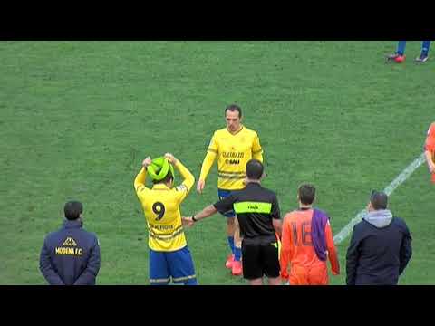 hl modena calvina SHORT