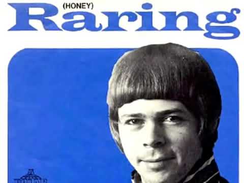 Björn Ulvaeus (ABBA) : Raring (1968) Honey  -  Subtitles