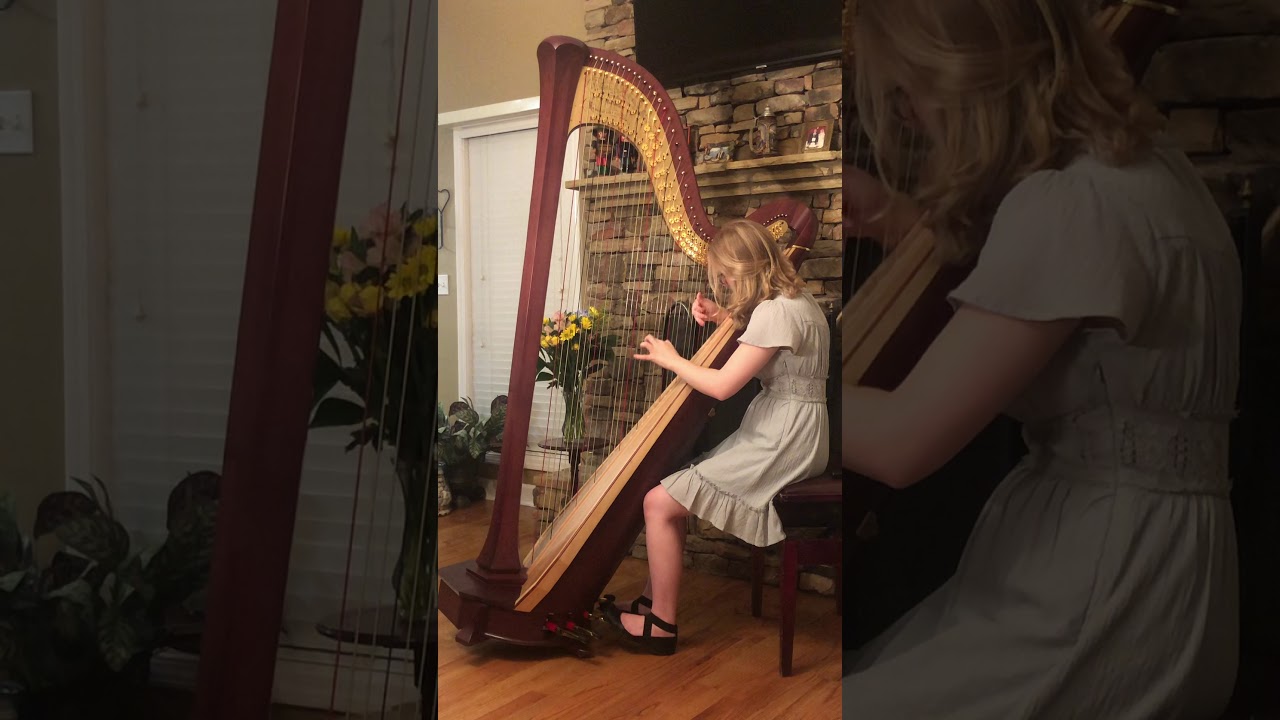 Promotional video thumbnail 1 for LeAndra Douds - Harpist