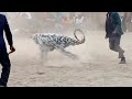Nyau Dance From Kasungu Malawi