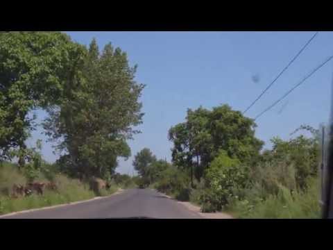 Țifești-Sârbi-Vitănești