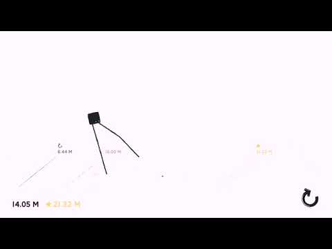 Cluster of Daddy Longlegs (Harvestmen) - Ajijic, Mexico