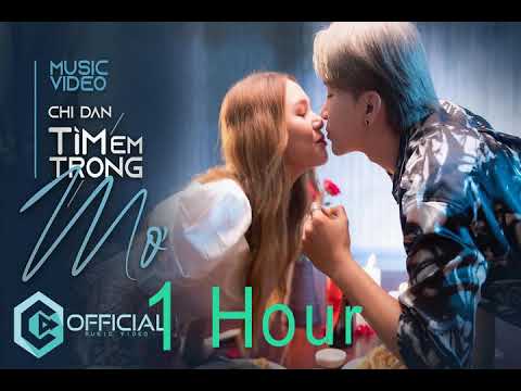 [1 Hour] TÌM EM TRONG MƠ - Chi Dân | Reply 1giờ