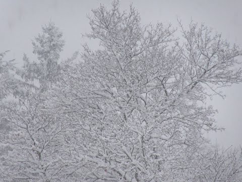 2/3 - SO-90-NE - 12.12. - Pseudoautoritäten unter Druck!