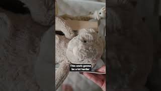 We tried minimalism with kids