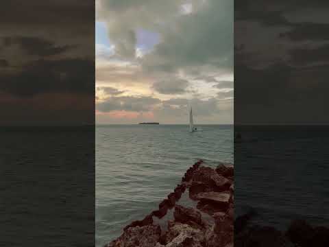 Living in paradise 📍Saipan #saipan #island #paradise #ytshorts #youtubeshorts #bestdestinations