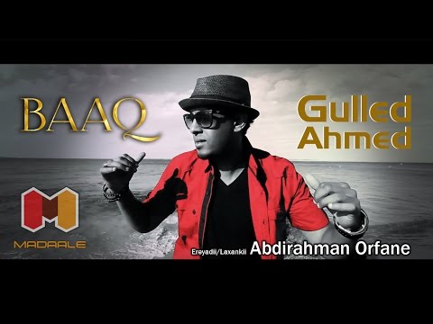 BAAQ  - Gulled Ahmed 2015