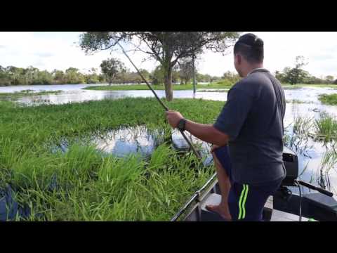 Brésil Amazonie Pêche au piranha infructueuse / Brazil Amazon piranha fishing unsuccessful