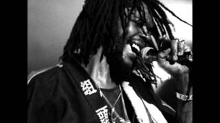 Peter Tosh...Stand Firm.wmv
