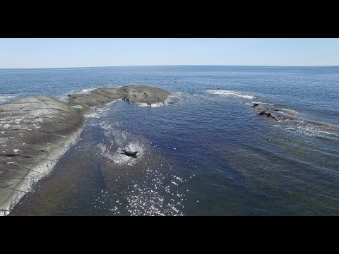 Tvedestrand - Vestegårdkilen