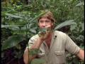 Crocodile S Of The Revolution Part 1