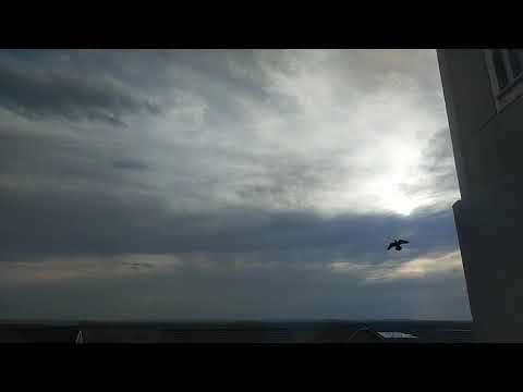 Vivo Y70 - Video Sample - Timelapse 1080p