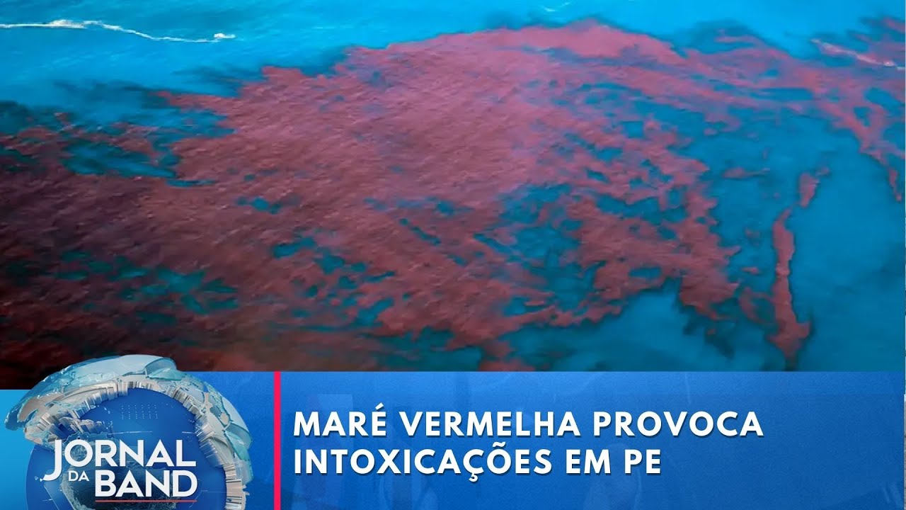 “Maré vermelha” faz banhistas evitarem praia famosa do Recife | Jornal da Band
