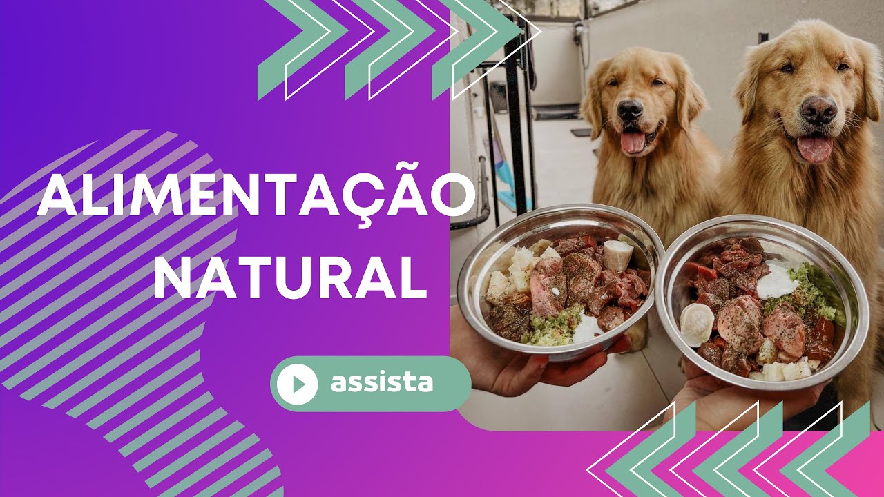 MAS PORQUE ALIMENTAÇÃO NATURAL?
