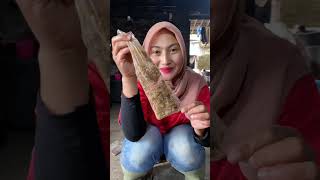 Download lagu Request to Cook Otokowok Grass mp3 Download lagu Request to Cook Otokowok Grass mp3