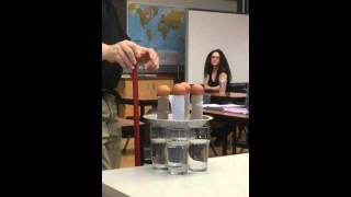 eggs inertia slow motion, 1 28 33 PM