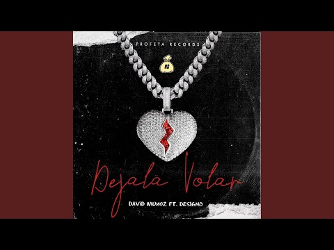 Dejala Volar (feat. Designó)