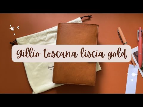 Gillio Toscana Liscia Gold Unboxing - Personal Rings