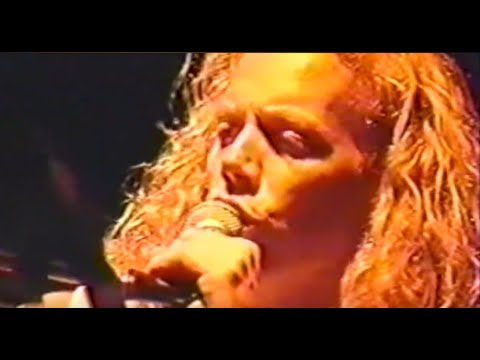 Hushabye - Matt Jardine - The Beach Boys Live