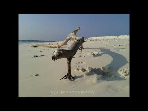 Maakanduge Medhutherey