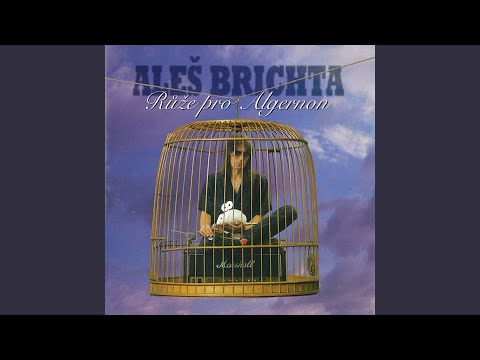 Dívka s perlami ve vlasech (Gyöngyhajú lány)