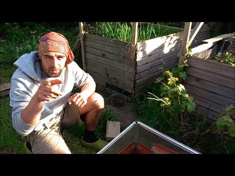 Haltung Steppenschildkröte (Agrionemys horsfieldii) - Bauanleitung Freilandgehege für Jungtiere