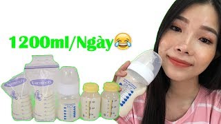 Download lagu VLOG NHẬT KÝ SỮA MẸ TỪ 2 GIỌT ĐẾN 1200ml mp3