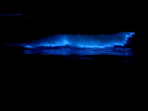 ROSSINAVI BLUE - Official Video