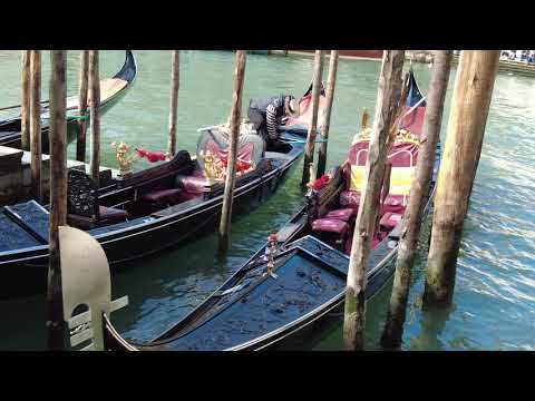 RIALTO Bridge, Venice | Ponte di Rialto | Spectacular View of Grand Canal | Crossing Grand Canal