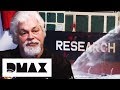 Sea Shepherds Target Whaling Ship With Blood Red Paint Whale Wars
