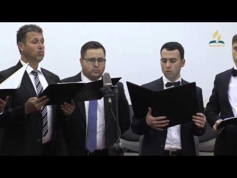 Pot purtat de vant sa zbor