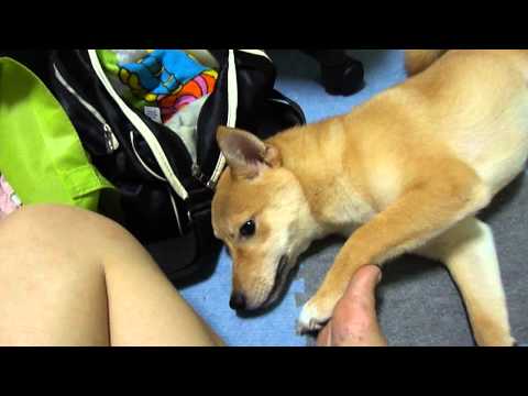 媽咪~我好想吃,別整我了(原發表者:minu媽)(影片)