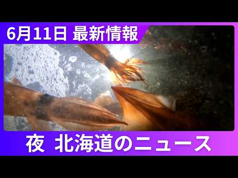 6月11日（木）北海道#夜のニュース