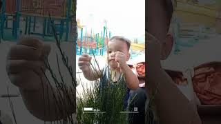 Download lagu Berenang di Sabda Alam Garut #renang #garut #shortviral #shorts #happy #kids #kidsvideo #sabdaalam mp3