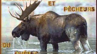 Louis Bérubé - Juste une gang de gars