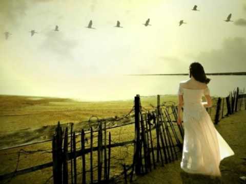 Kamal Forever - Jamsid vs Sagopa  - Asegi (remix).wmv