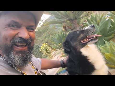 Me despedi de Lambarí.  Mas tem mais vídeos de Minas Gerais!