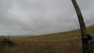 preview picture of video 'Goose Hunt in Vernal Utah'