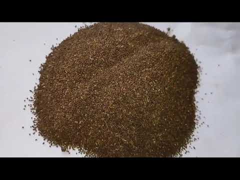 Natural 80% tulsi seed ( ocimum tenuiflorum ), pack type: pp...