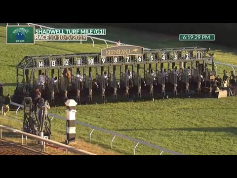 2019 Shadwell Turf Mile Stakes (G1): Bowies Hero