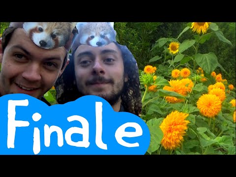 The Busking Boys: Finale