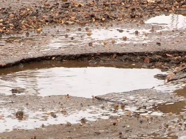 Дороги не пережили зиму