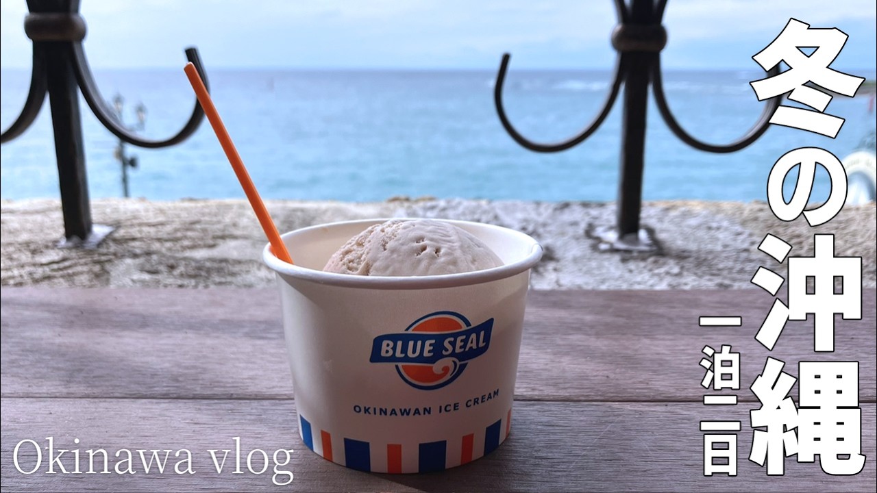 寒すぎるので、沖縄に逃げる【vlog】