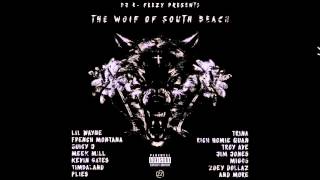 Dj E-Feezy - The Wolf Of South Beach(full)