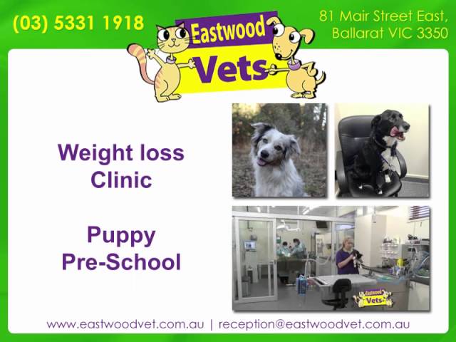 Eastwood Veterinary Clinic - Ballarat East, VIC