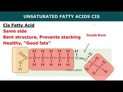 IB Biology Topic 2.1 Molecules to Metabolism