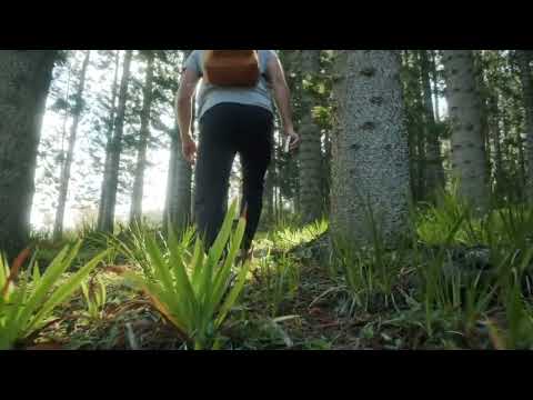 My Weight Loss Journey: From 196 lbs to 174 | Total Health Upgrade