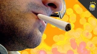 Breaking Bad... Habits - Epic Science #81