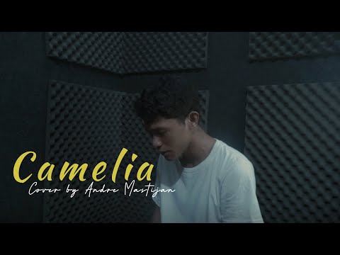CAMELIA - IRWANSYAH | (Cover By Andre Mastijan)