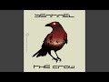 The Crow
